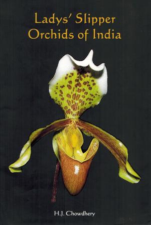 Lady's slipper: orchids of India