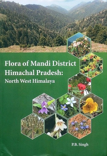 Flora of Mandi district: Himachal Pradesh: North West Himalaya