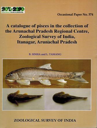A catalogue of Pisces in the collection of the Arunachal Pradesh Regional Centre, Zoological Survey of India, Itanagar, Arunachal Pradesh