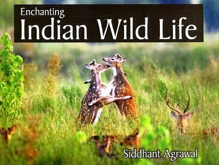 Enchanting Indian wild life