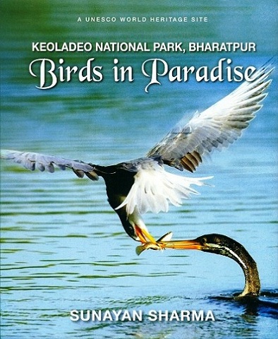 Keoladeo National Park, Bharatpur: birds in paradise